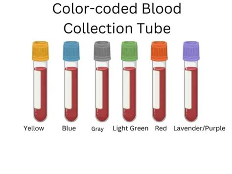 Blood Collection Tubes: Significance of Color Coding • Microbe Online