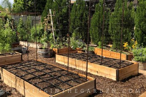 Self Watering Raised Garden Bed: A Guide To Easy And Efficient ...