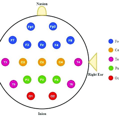 EEG frequency bands with properties. | Download Scientific Diagram