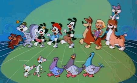 Animaniacs GIF - Find & Share on GIPHY