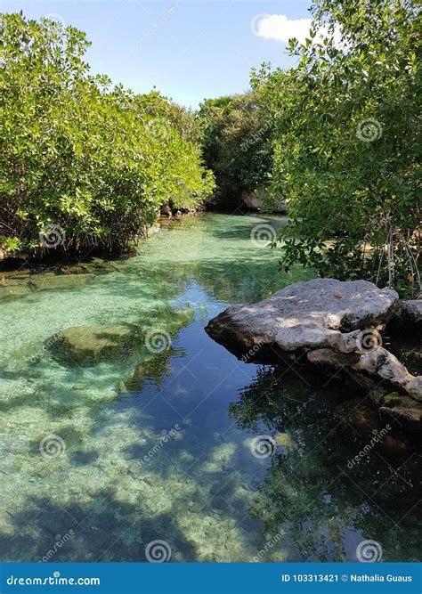 Xcaret eco park stock image. Image of costa, quintana - 103313421