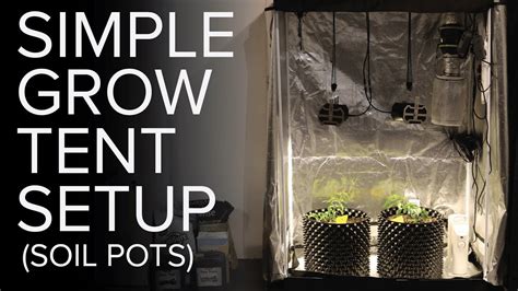 Basic grow tent setup with soil pots - CBD Rumor