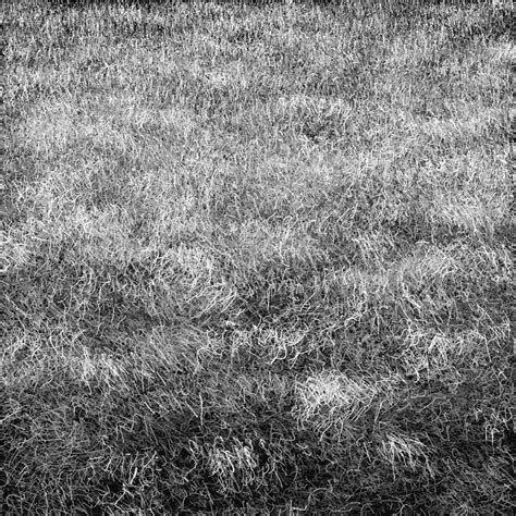 Texture Study: Dormant Grass — Tyler Hobbs