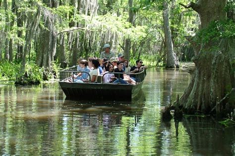 Honey Island Swamp Small Boat Tour - New Orleans | Project Expedition