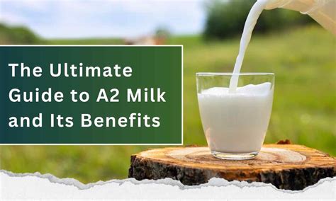 The Ultimate Guide To A2 Milk And Its Benefits