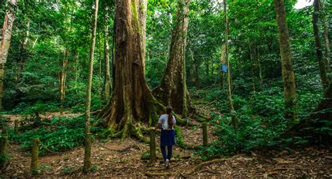 7 amazing national parks in Vietnam | Vietnam Tourism