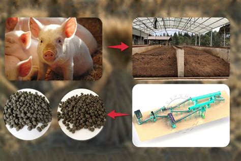 Composting Pig Manure | Fast | Commercial | Plant Setup