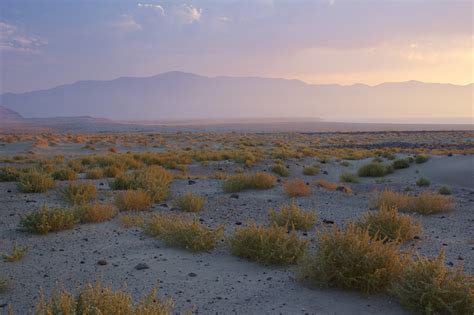 Eric Rosenwald Photography - Great Basin Desert, Near Pyramid Lake ...