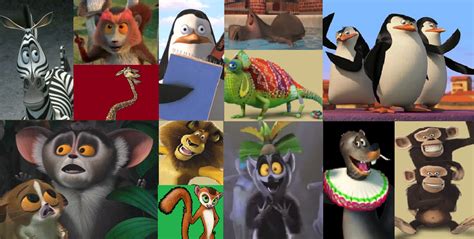 Category:Madagascar characters | Madagascar FANDOM Wiki | Fandom