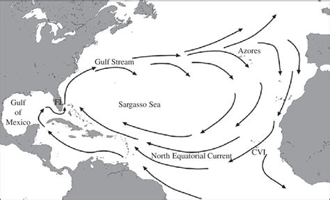 North Atlantic Gyre Map