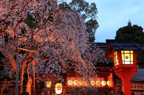 10 Must-See Traditional Events and Festivals in Kyoto | tsunagu Japan