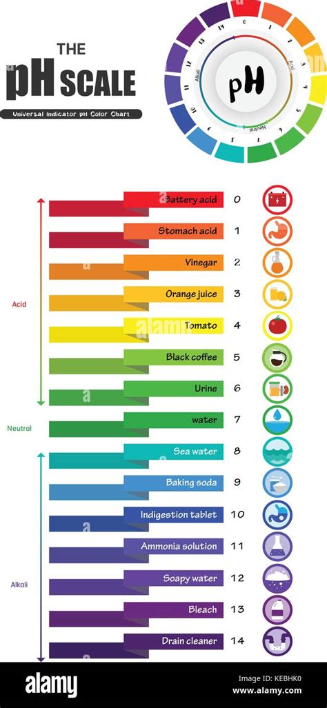 Ph Scale Chart: A Visual Reference of Charts | Chart Master