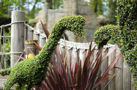 Topiary Animals - Agrumi New Forest Bespoke Topiary