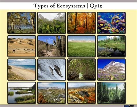 Types of Ecosystems | Quiz