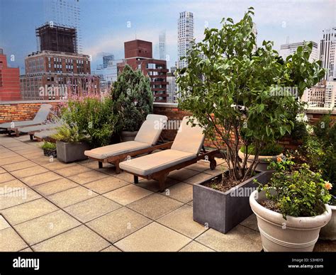 Landscaped roof deck in a luxury apartment building in Murray Hill, NYC ...