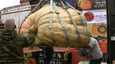 New giant pumpkin record set in the US