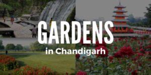 5 Famous Gardens in Chandigarh (With Location, Timings & Details)