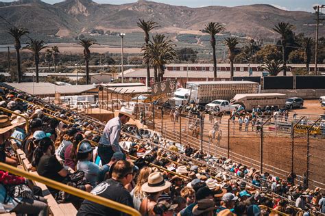 Junior Livestock Auction Sponsor - Ventura County Fairgrounds