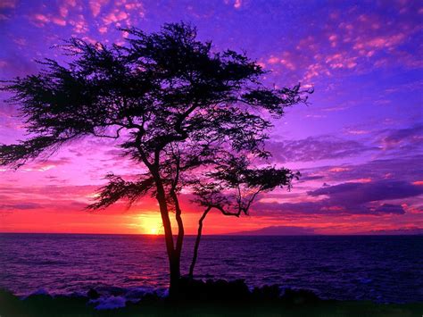 Sunset Pictures Free | beautiful-pictures-of-hawaiihawaii-beautiful ...