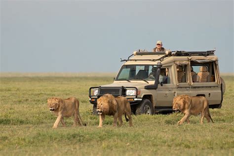 2 Days Serengeti National Park Safari | Tanzania Wildlife Safari Tour.