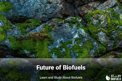 8 Types of Biofuels With Examples | Study BioFuels