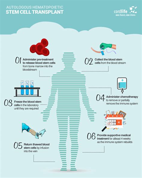Autologous Hematopoietic Stem Cell Transplant | Infographics