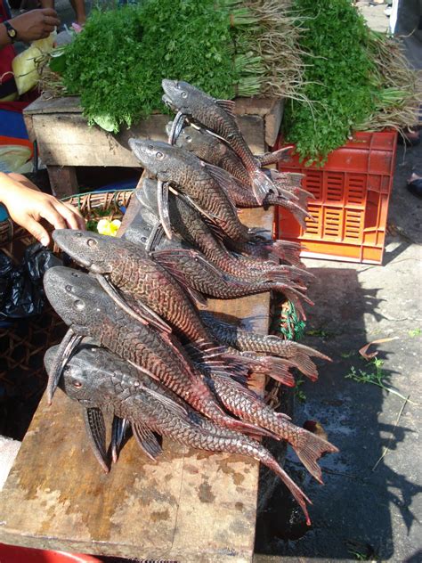 Gone fishing: Iquitos, Peru