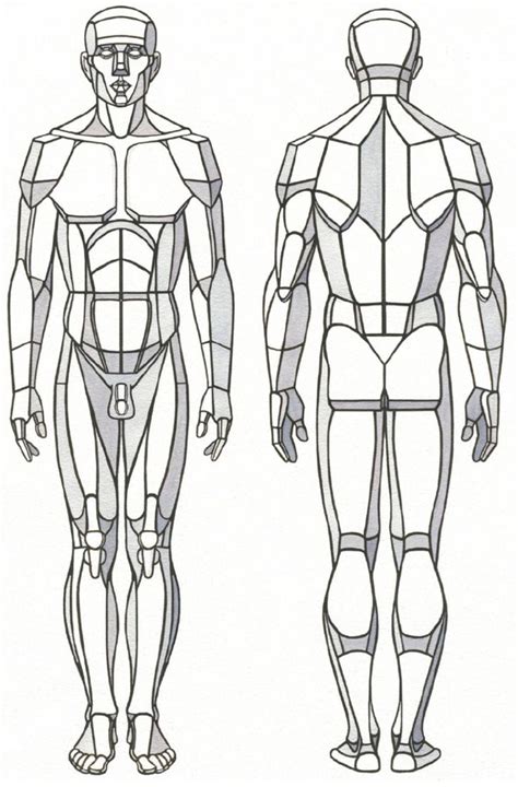 Anatomical Drawing Of Human Body ~ Human Body Outline Drawing Coloring ...