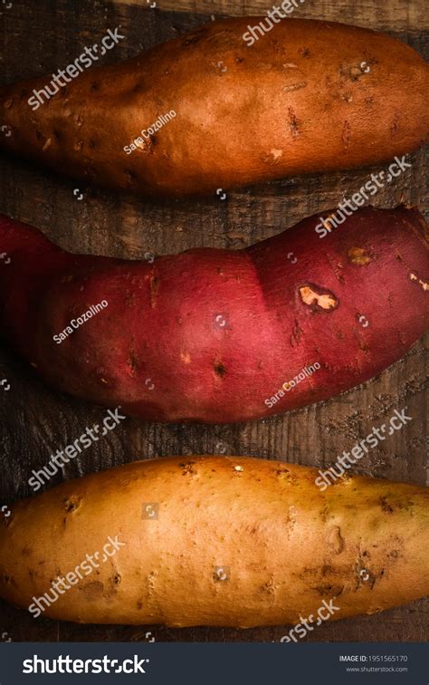 3 Varieties Sweet Potato Stock Photo 1951565170 | Shutterstock