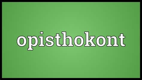 Opisthokont Meaning - YouTube