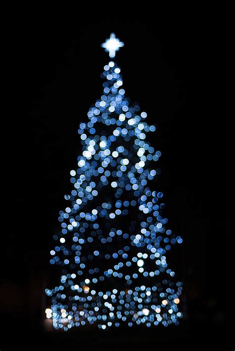 Blue Christmas Lights Photograph by Terry DeLuco - Fine Art America