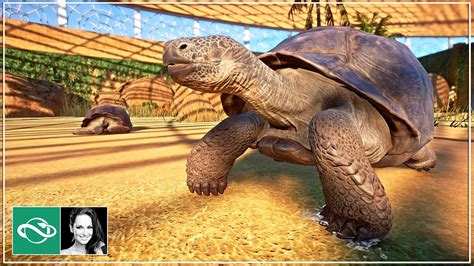 Planet Zoo Galapagos Tortoise Habitat / Pin by Megan Kriss on PlanetZoo ...