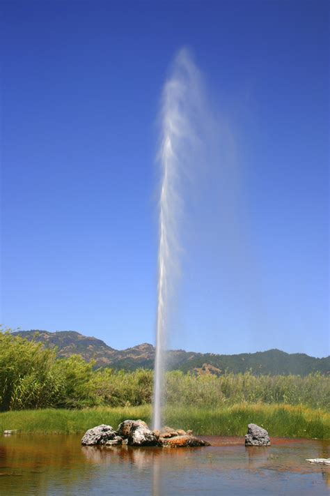 Check Out the Old Faithful Geyser of California