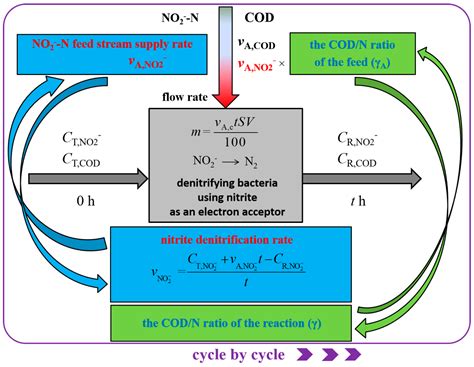 Denitrification Equation