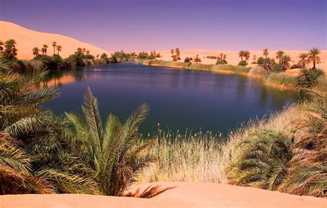 Desert Oasis Landscape Wallpapers - 4k, HD Desert Oasis Landscape ...