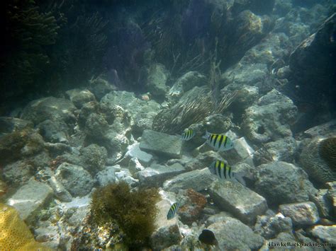 Dry Tortugas Snorkeling - HawkeBackpacking.com