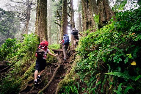 The West Coast Trail: Vancouver Island's Iconic Hike | Switchback Travel