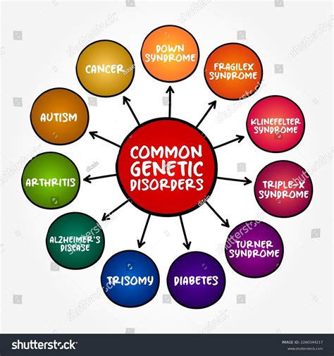 Common Genetic Disorders Mind Map Text Stock Vector (Royalty Free ...