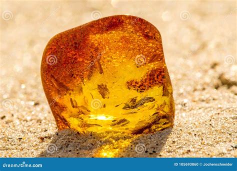 Amber on a Beach of the Baltic Sea Stock Photo - Image of excavation ...