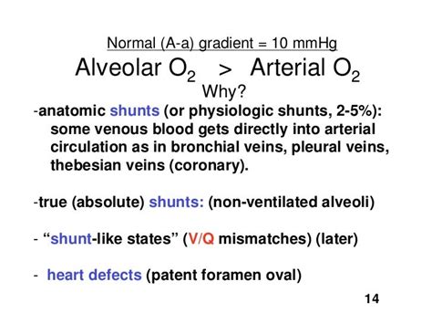 11.17.08(b): Alveolar Ventilation II