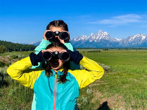 Grand Teton Wildlife Safari - Jackson Hole Wildlife Safaris