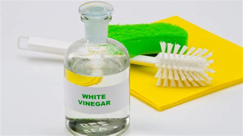 Kill Mold With Vinegar - Homebiotic - Probiotics For Your Home