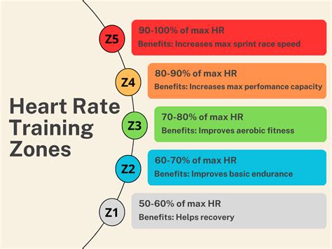 A Comprehensive Guide to Heart Rate Training Zones — TRIGEARLAB