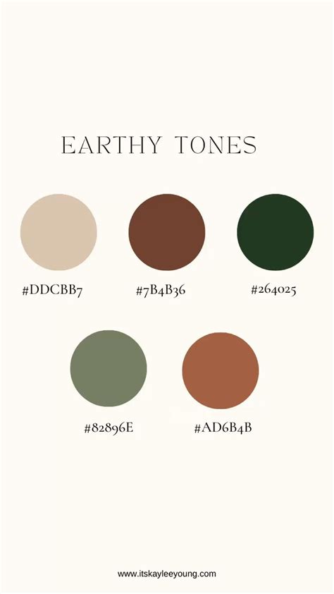 Earthy tones brand color palette ideas with hex code earth tone color ...