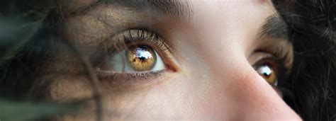 How rare are amber eyes and what makes them unique? - Glasses Direct Blog