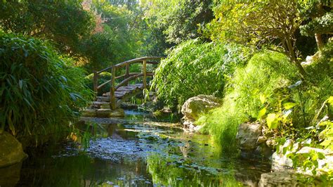 Zilker Botanical Garden in Austin, Texas | Expedia