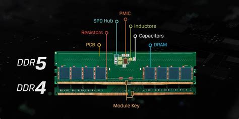 Ddr5 Vs Ddr4 Will Ddr5 Ram Work On Ddr4 Motherboard | Hot Sex Picture