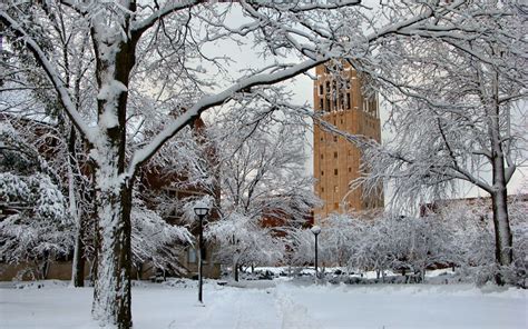 Winter in Ann Arbor, Michigan photo on Sunsurfer