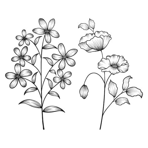 Premium Vector | Hand drawn floral botanical wild flowers sketched pen ...