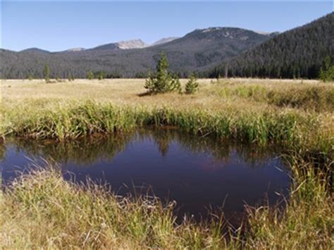 Big Meadows - Hike to Big Meadows in Rocky Mountain National Park